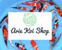 ArieKoiShop